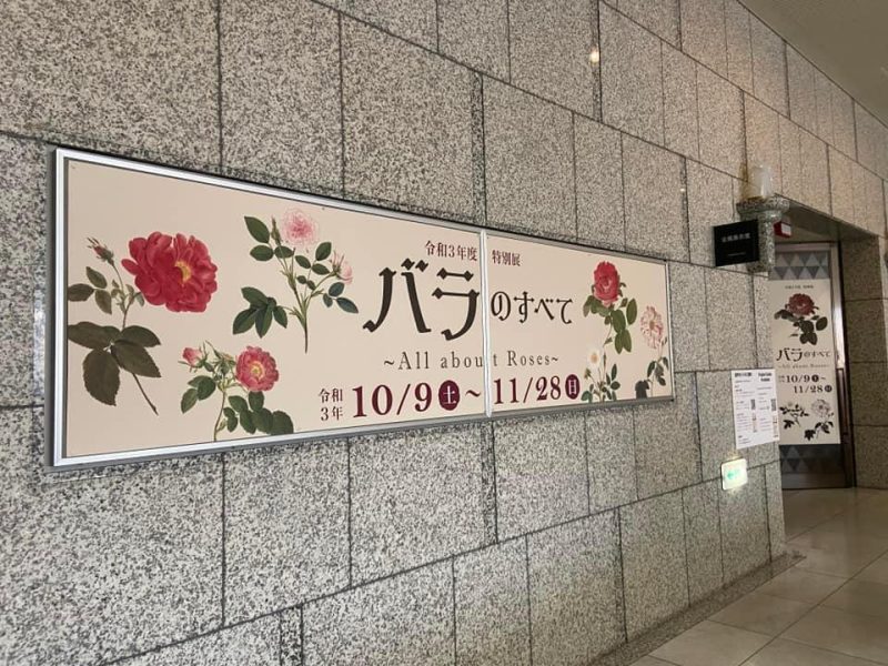 県立中央博物館で開かれている特別展「バラのすべて」
