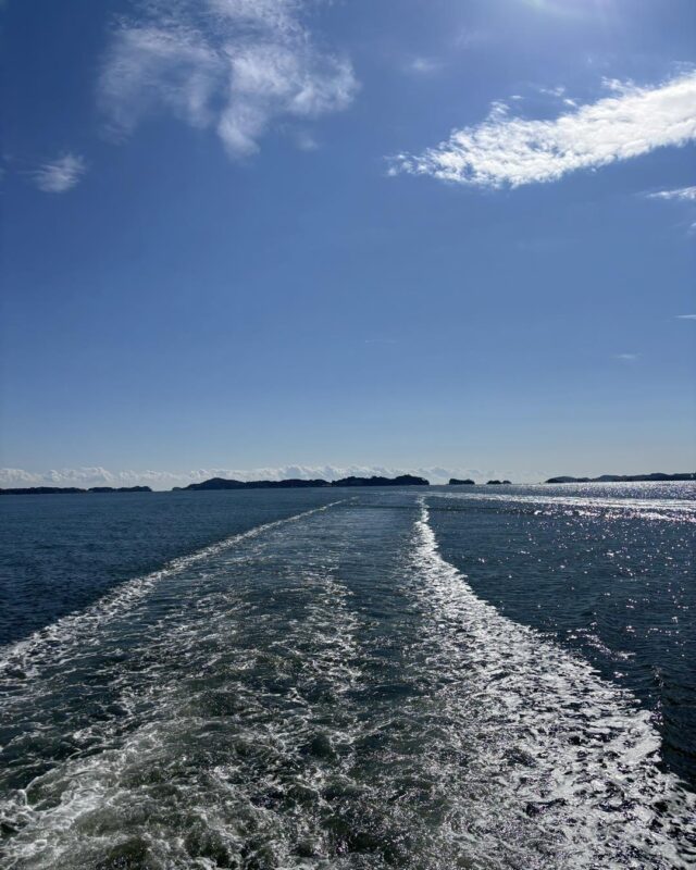 遊覧船の白い航跡がまっすぐ伸びる松島の海。青空の下に島影が連なる遠景
